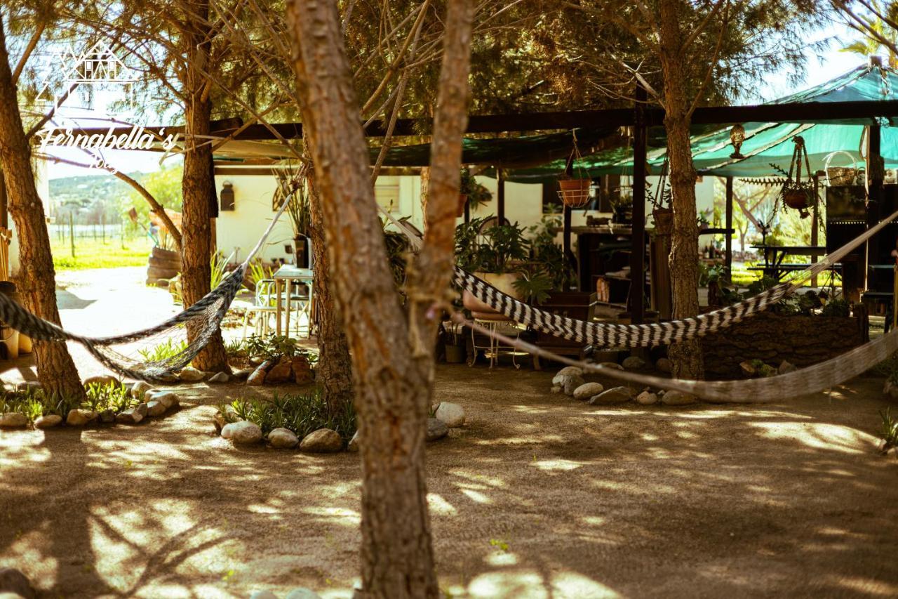 Fernabella'S Lodge Valle de Guadalupe Εξωτερικό φωτογραφία