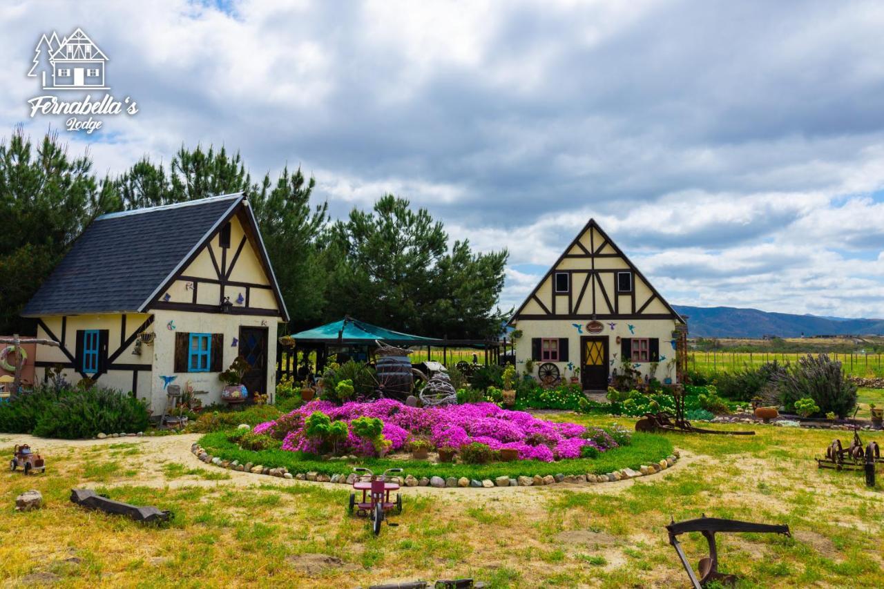 Fernabella'S Lodge Valle de Guadalupe Εξωτερικό φωτογραφία