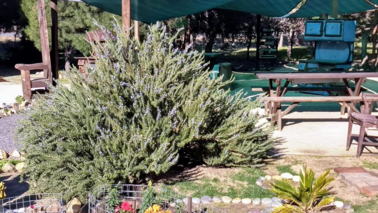 Fernabella'S Lodge Valle de Guadalupe Εξωτερικό φωτογραφία