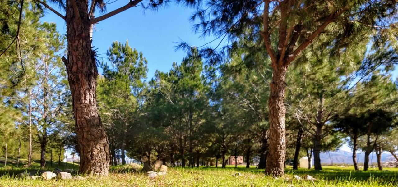 Fernabella'S Lodge Valle de Guadalupe Εξωτερικό φωτογραφία