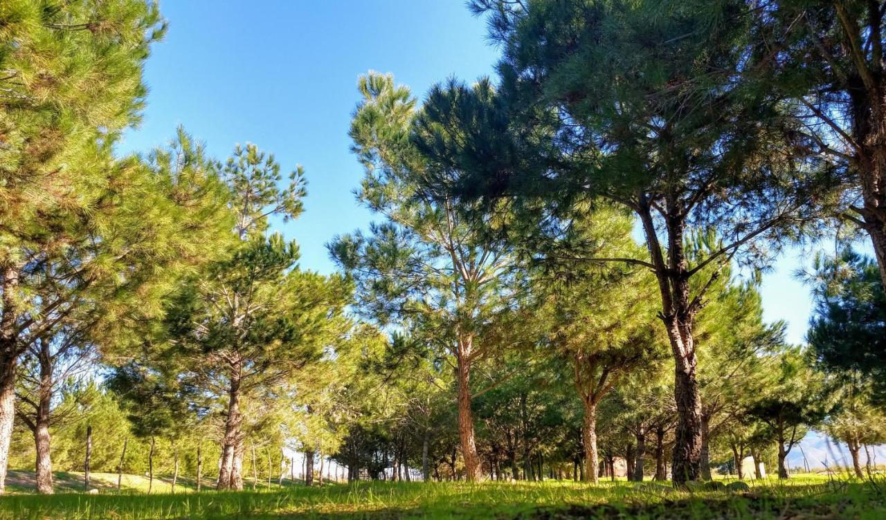 Fernabella'S Lodge Valle de Guadalupe Εξωτερικό φωτογραφία